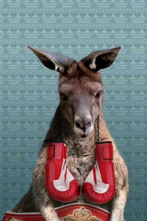 Bo the Kangaroo by 5by5collective wall art