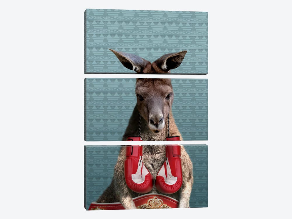 Bo the Kangaroo by 5by5collective 3-piece Canvas Art Print