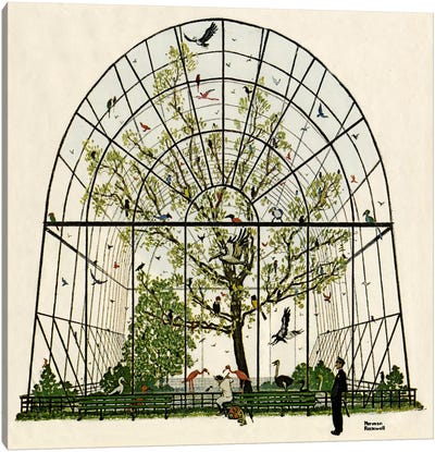 The Aviary Canvas Art Print - Norman Rockwell