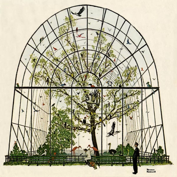 The Aviary