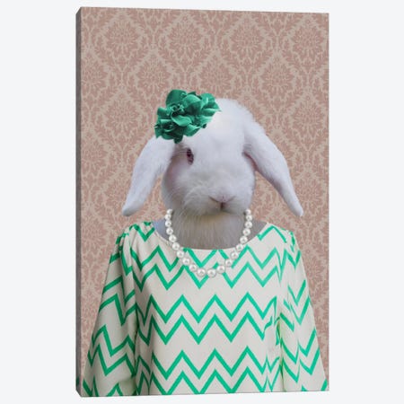 Rachel the Rabbit Canvas Print #15486} by 5by5collective Canvas Print
