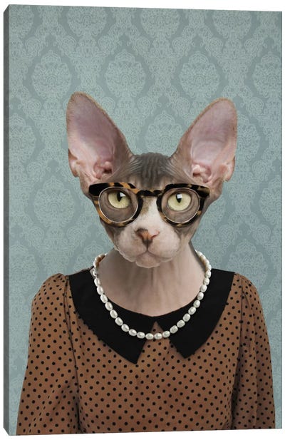 Shelly the Sphynx Cat Canvas Art Print - Hairless Cats