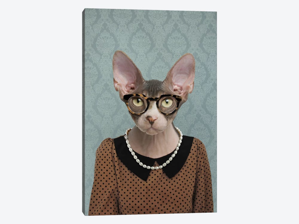 Shelly the Sphynx Cat by 5by5collective 1-piece Canvas Art