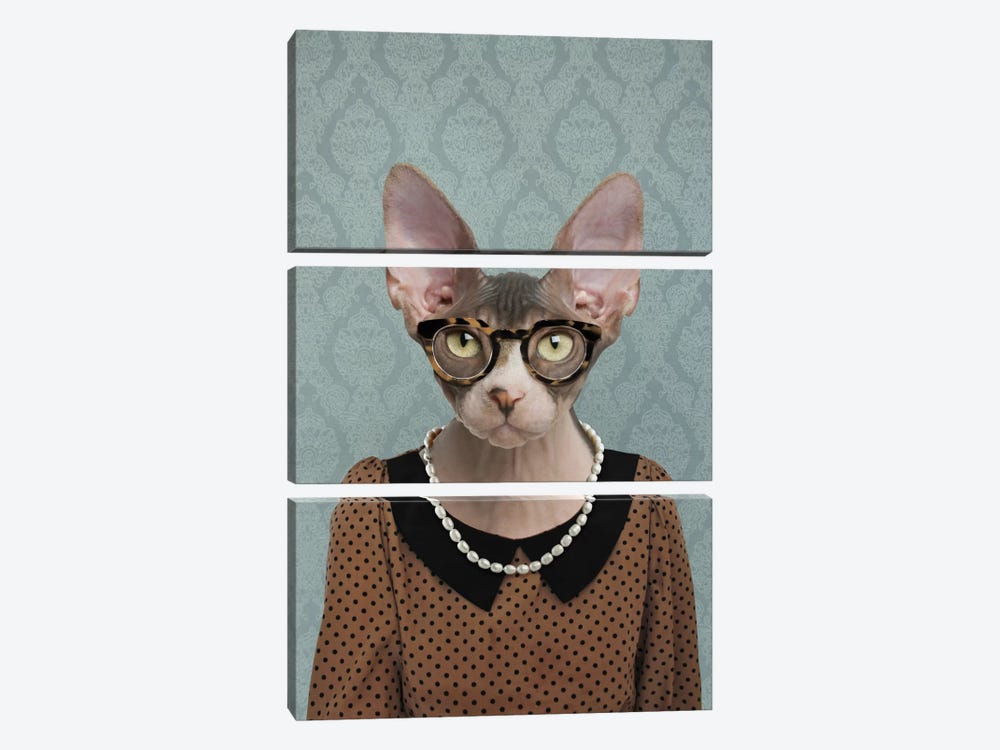Shelly the Sphynx Cat by 5by5collective 3-piece Canvas Artwork