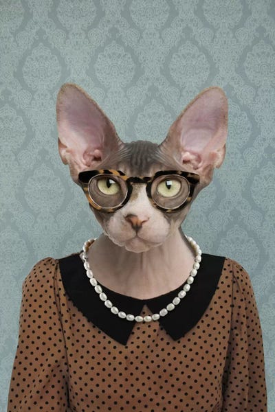 5by5collective: Shelly the Sphynx Cat by 5by5collective