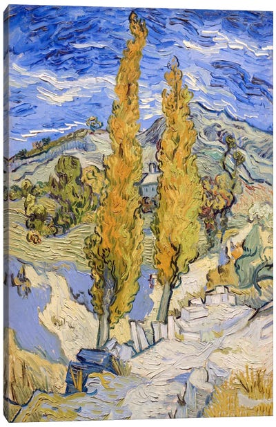 The Poplars at Saint-Remy Canvas Art Print - Hill & Hillside Art