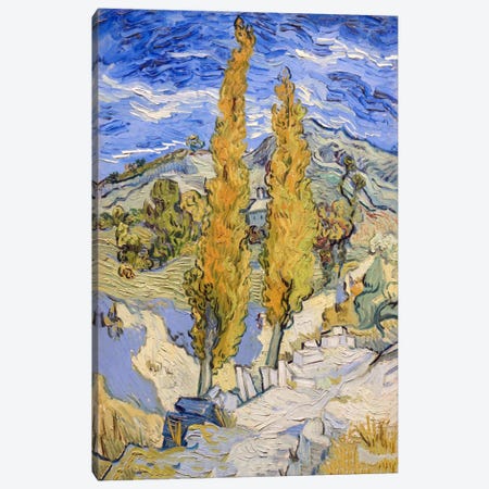The Poplars at Saint-Remy Canvas Print #1704} by Vincent van Gogh Canvas Artwork