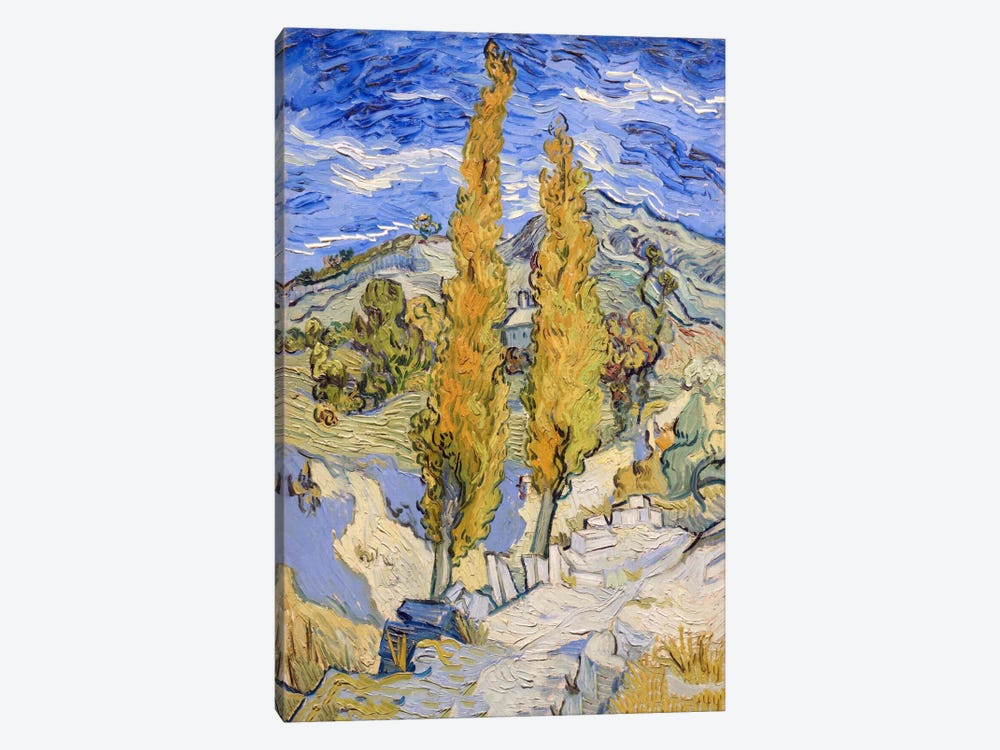 The Poplars at Saint-Remy by Vincent van Gogh 1-piece Art Print