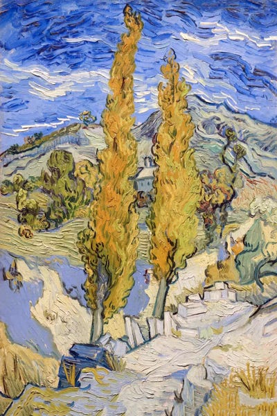 Large Floral & Botanical Art - Canvas Prints: The Poplars at Saint-Remy by Vincent van Gogh