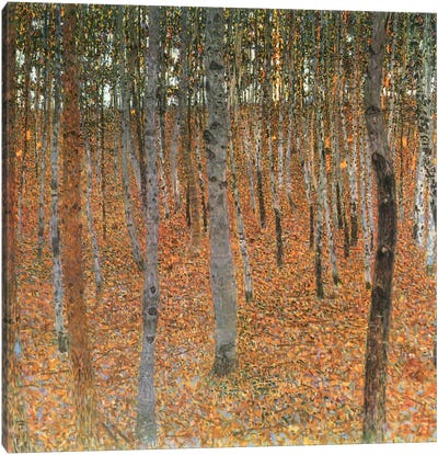 Forest of Beech Trees Canvas Art Print - Autumn Art