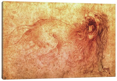 Sketch of a Roaring Lion Canvas Art Print - Leonardo da Vinci