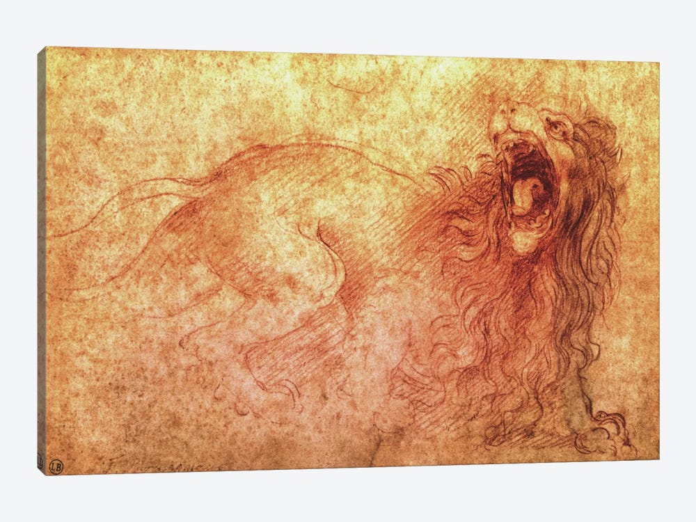 Sketch of a Roaring Lion by Leonardo da Vinci 1-piece Canvas Artwork