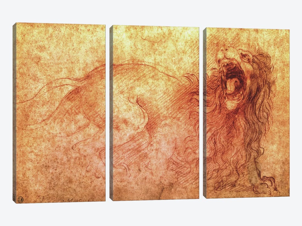 Sketch of a Roaring Lion by Leonardo da Vinci 3-piece Canvas Artwork