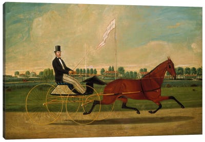 Trotting Horse Canvas Art Print - Carriage & Wagon Art