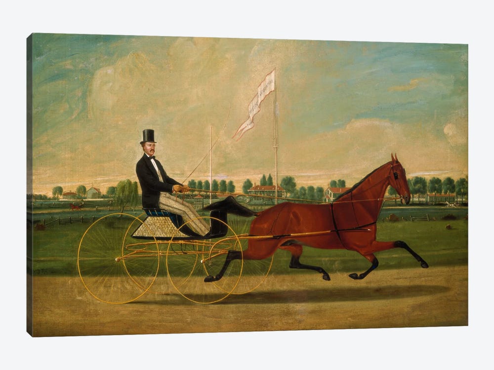 Trotting Horse 1-piece Canvas Wall Art
