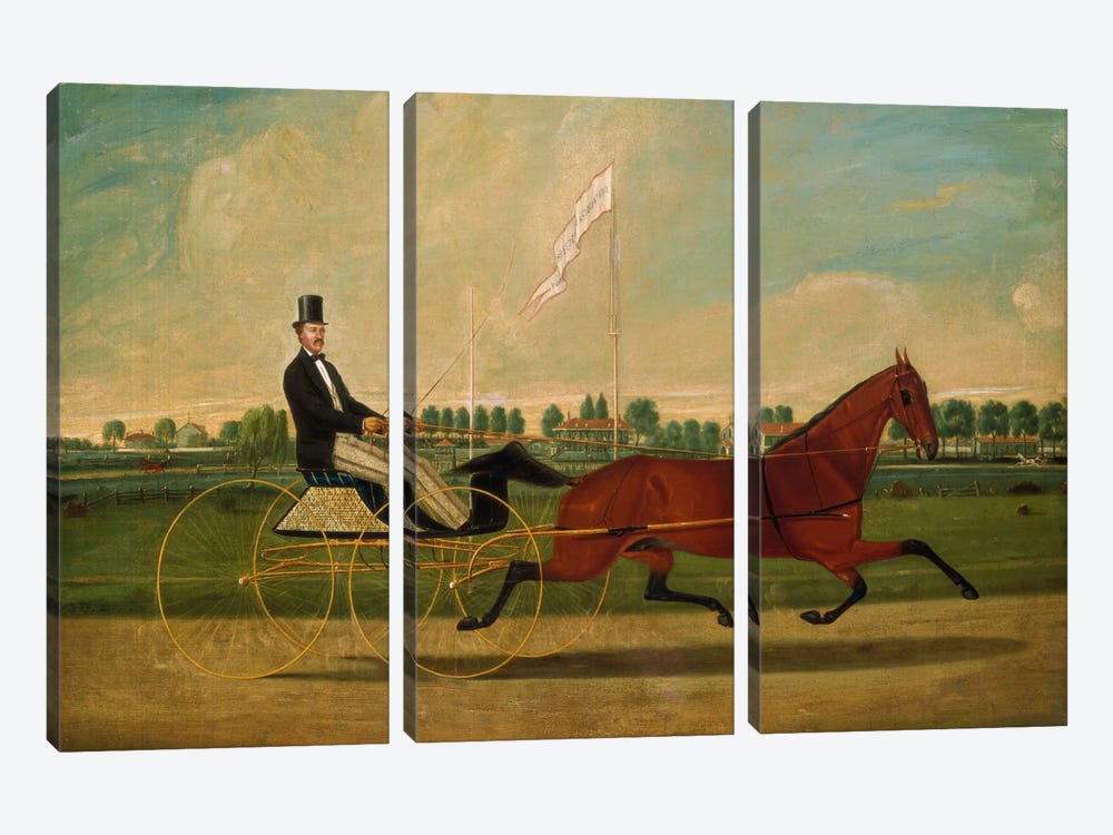 Trotting Horse by Charles Humphreys 3-piece Canvas Wall Art