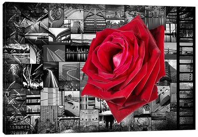 Rose In City Canvas Art Print - Black, White & Red Art