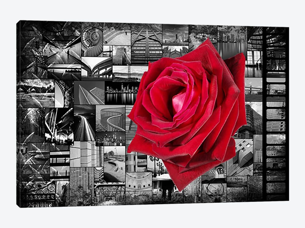 Rose In City by Unknown Artist 1-piece Canvas Print