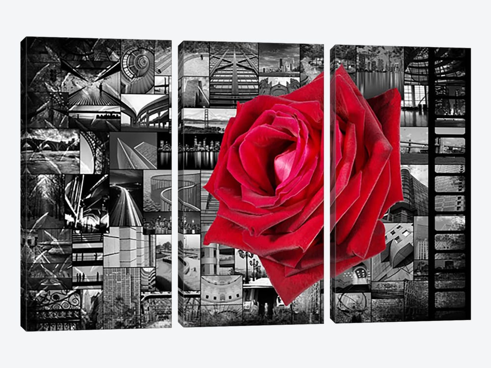 Rose In City by Unknown Artist 3-piece Canvas Art Print