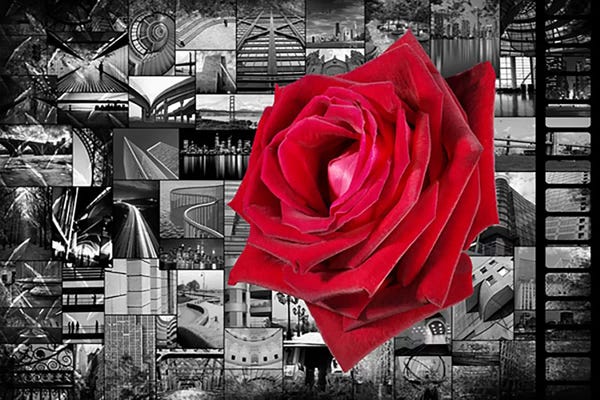 Pop Culture: Rose In City by Unknown Artist