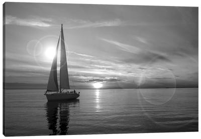 Sailboat Canvas Art Print - Nautical Scenic Photography