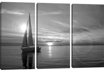 Sailboat Canvas Art Print - 3-Piece Photography