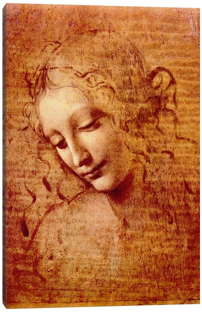 Female Head Canvas Art Print - Leonardo da Vinci
