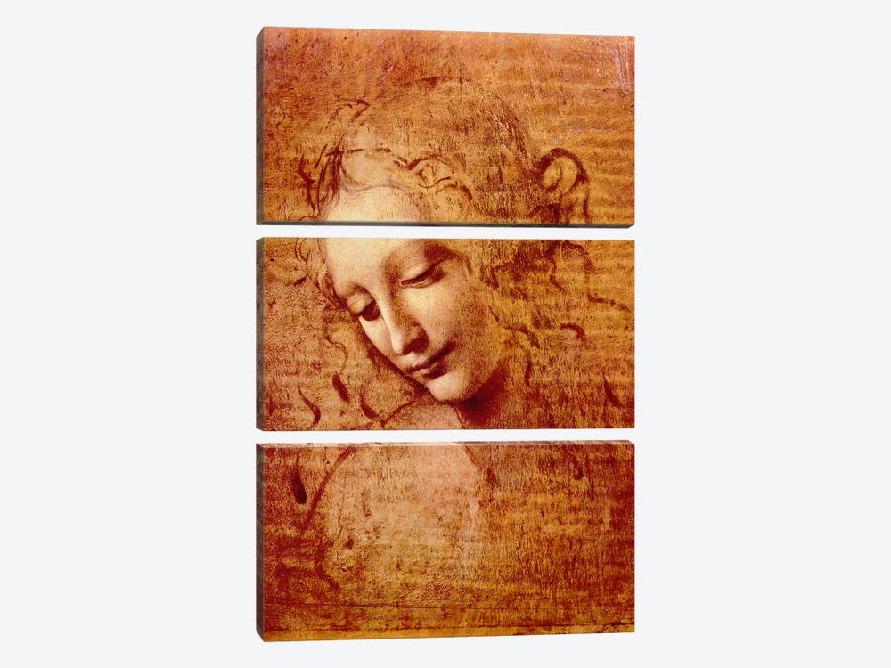 Female Head by Leonardo da Vinci 3-piece Canvas Print