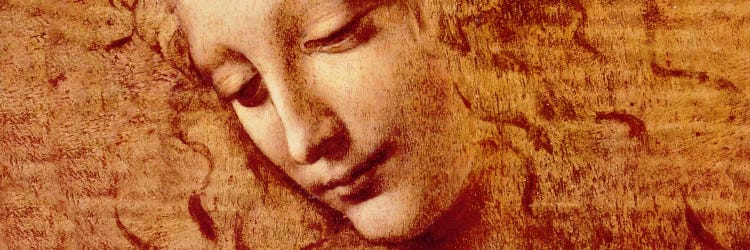 Female Head by Leonardo da Vinci wall art