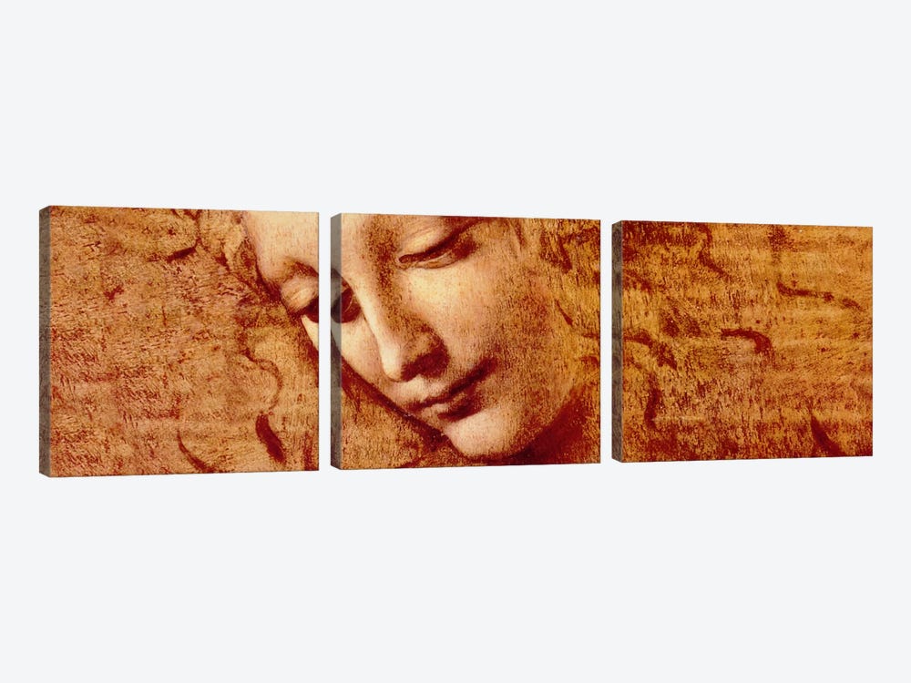 Female Head by Leonardo da Vinci 3-piece Canvas Wall Art