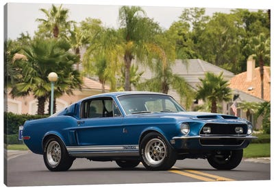 1968 Shelby Gt 500 Kr Fastback Canvas Art Print - Cars By Brand