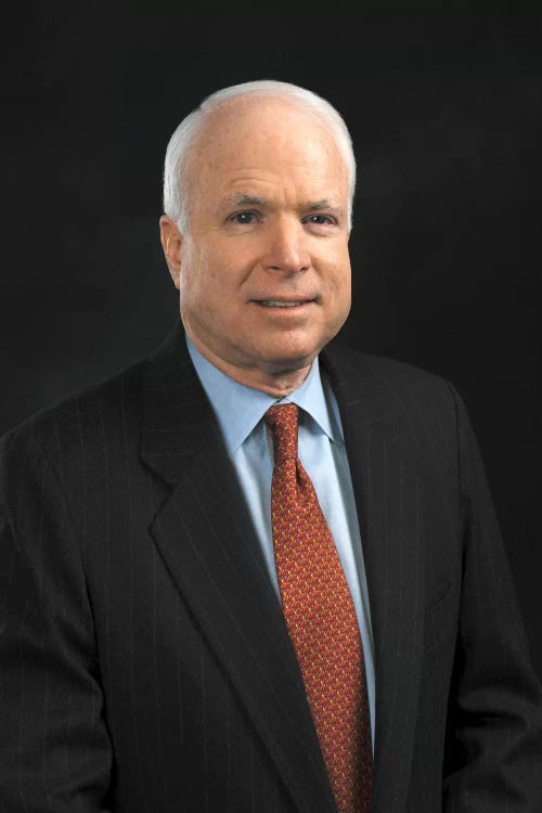 John Mccain Portrait