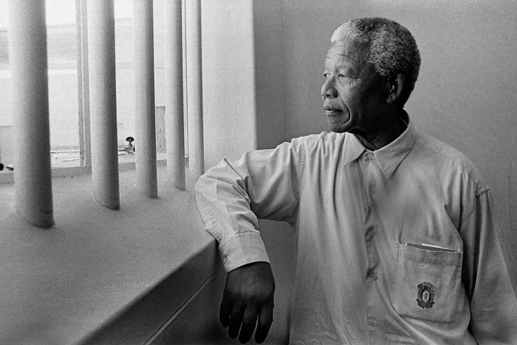 Nelson Mandela Portrait