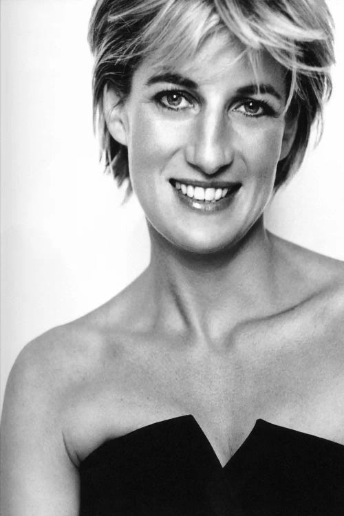 Princess Diana Portrait