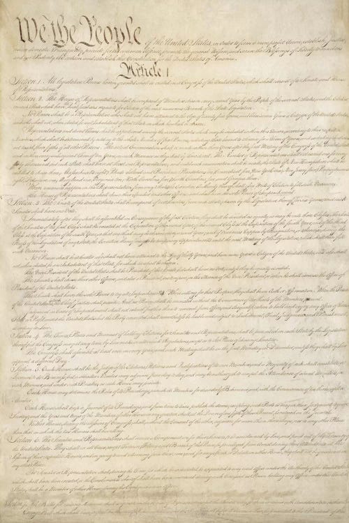 The Constitution Document