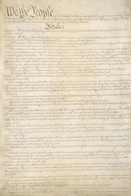 The Constitution Document by Unknown Artist wall art