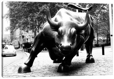 Wall Street Bull Black & White Canvas Art Print - Black & White Animal Art
