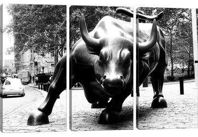 Wall Street Bull Black & White Canvas Art Print - 3-Piece Animal Art