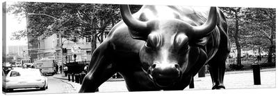Wall Street Bull Close-up Canvas Art Print - Places