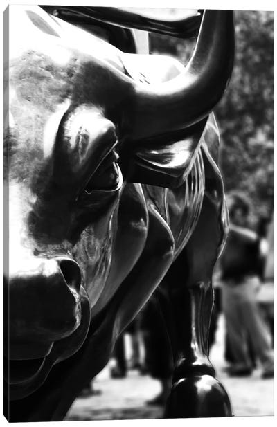 Wall Street Bull Close-up  Canvas Art Print - Black & White Photography