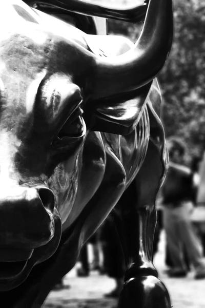 Wall Street Bull Close Up Portrait