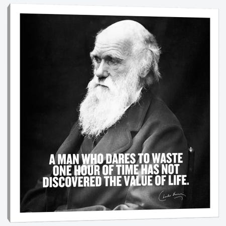 Charles Darwin Quote Canvas Print #4034} by Unknown Artist Canvas Artwork