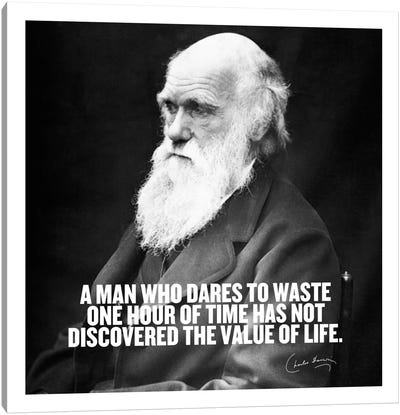 Charles Darwin Quote Canvas Art Print - Motivational