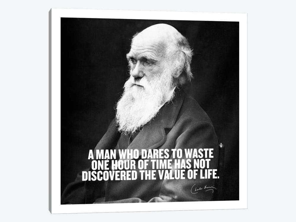 Charles Darwin Quote by Unknown Artist 1-piece Canvas Print