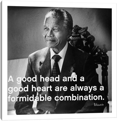 Nelson Mandela Quote Canvas Art Print - Wisdom Art