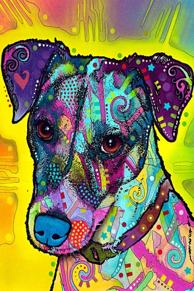 Terriers: Jack Russell by Dean Russo