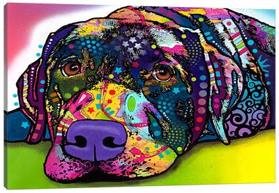 Savvy Labrador Canvas Art Print - Labrador Retriever Art
