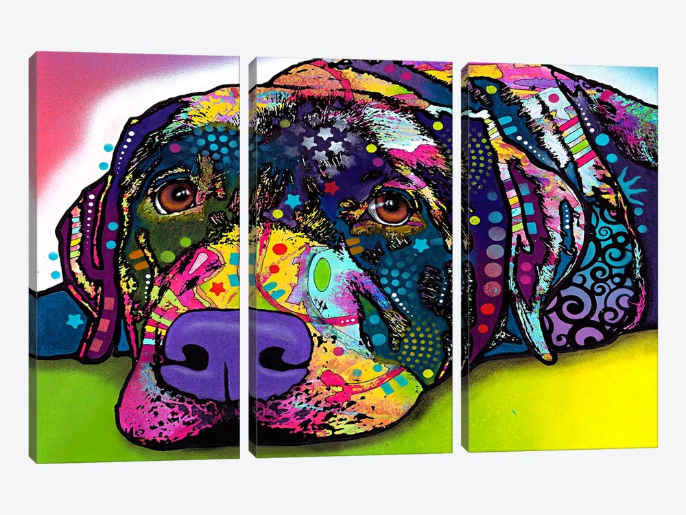Savvy Labrador by Dean Russo 3-piece Canvas Print