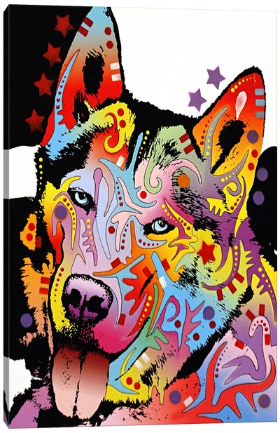 Siberian Husky Canvas Art Print - Dean Russo