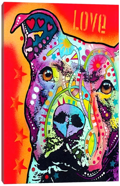 Thoughtful Pit Bull Canvas Art Print - Dog Art